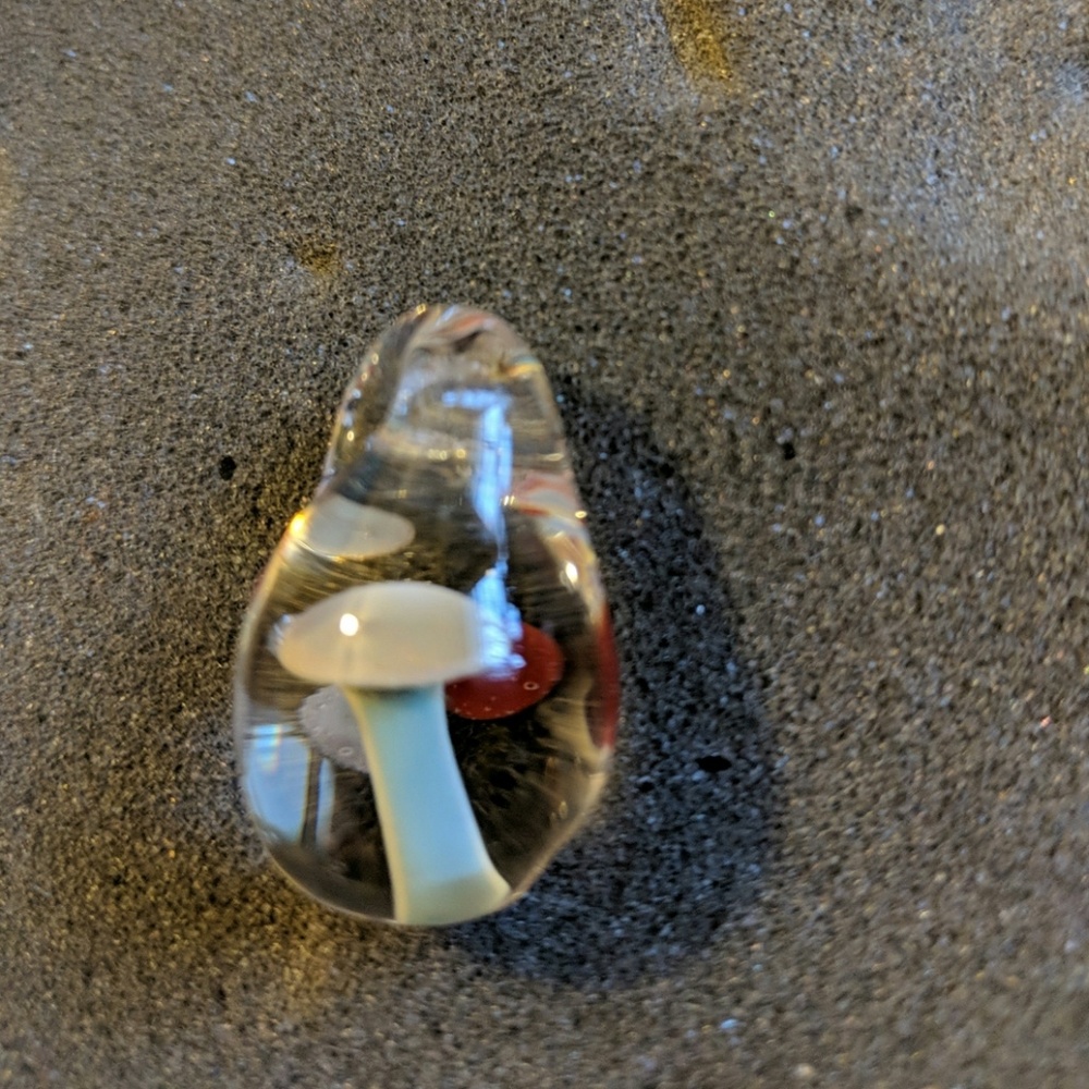 Hand blown glass mushroom pendant
